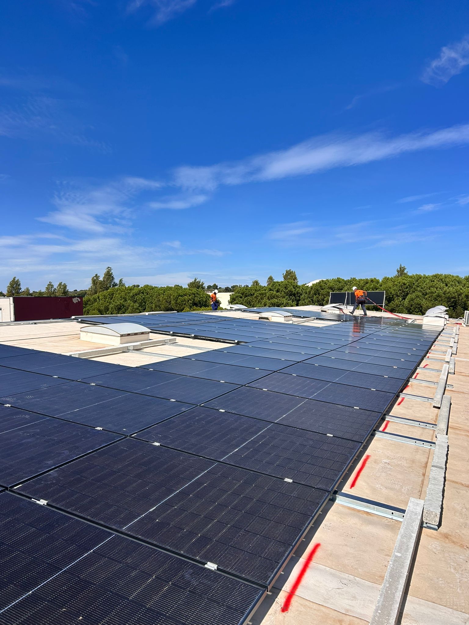 L'impianto fotovoltaico dell'azienda Napoletano Confezioni a Putignano